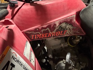 1992 Yamaha Timberwolf 250
