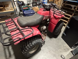 1992 Yamaha Timberwolf 250
