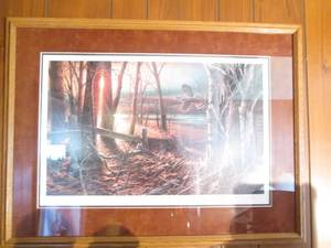 Sunlit Trail Ruffled Grouse and Aba...