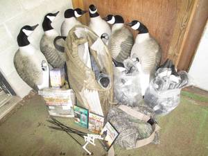 Large lot Canadian Geese Decoys, me...