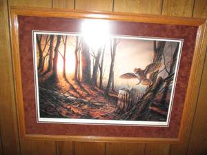 Silent Flight Great Horned Owl at h...