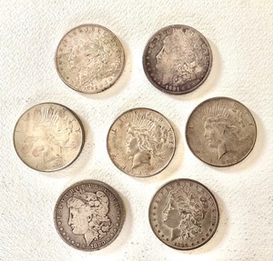 Group of Morgan and Peace Dollars (1880-1925)