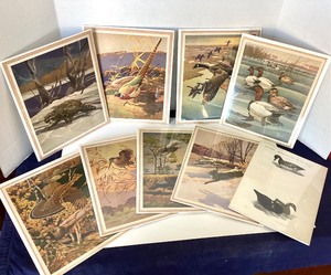 Group of 9 Unframed Wildlife Prints