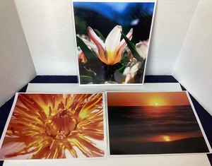 Group of 15 Modern Frameable Photographs