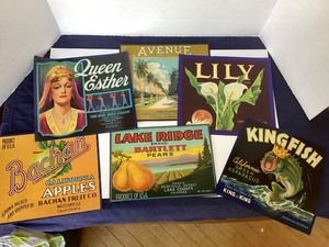 Group of New Old Stock Fruit Crate Labels