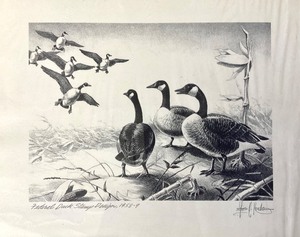 Les Kouba Winning Federal Duck Stamp Print 1958-1959