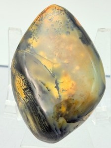 Tiger Dendritic Agate Polished Cabochon from Indonesia