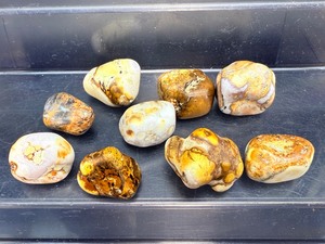 Premium 9pc King Cobra Jasper Tumbled Stone Set  Orbicular Chalcedony  India