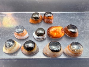The Sacred Guardian Collection 10 Rare, Hand-Polished Natural Indian Shiva Eye Agates for Protection and Spiritual Awareness