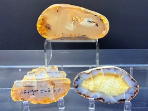 Rare Dendritic Agate Specimens - The Stones of Plenitude