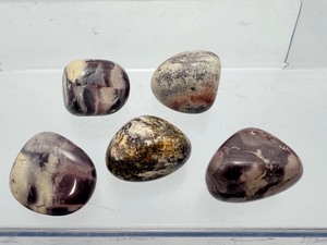Natural Porcelain Jasper Tumbled Stone Set  Stress Relief &amp Stability