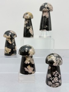 Rare Pink Thulite in Black Jade Hand-Carved Crystal Mushrooms
