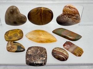 Premium Collection of 10 Polished Gemstone Cabochons  Michigan Fossils &amp Exotic Jaspers