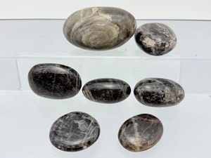 Lot of Polished Black Moonstone Palm Stones - Rare New Moon Crystal Set
