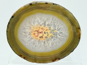 Museum-Grade Agate Geode Half with Intact Embedded Ammonite &amp Fossil Impressions