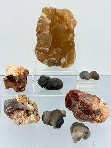 8-Piece Master Collection of Rare Botryoidal Chalcedony &amp Speakers Stone Specimens  Natural Morphological Wonders