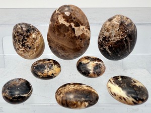 Rare 8-Piece Black Opal Polished Stone Collection  High-Contrast Marbling &amp Protection