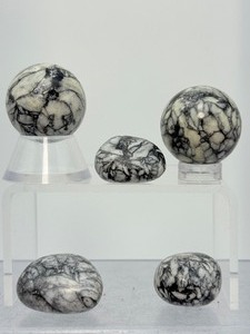 Rare Austrian Pinolith Collectors Set  Stunning Natural Patterns