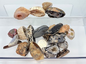 Brazilian Oco Geodes  Natural Polished Agate &amp Sparkling Druzy Crystal Collection