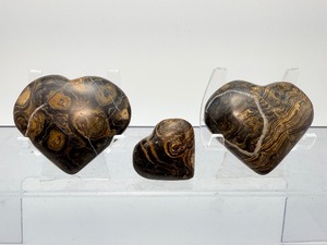 2-Billion-Year-Old Oxygen Origins Stromatolite Fossil Hearts  Set of 3
