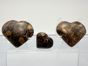 2-Billion-Year-Old Oxygen Origins Stromatolite Fossil Hearts  Set of 3 - (6.7 oz  190 g)