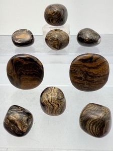Extremely Rare Ancient Fossil Stromatolite Tumbled Stone Collection  Authentic 2 Billion Year Old Polished Natural History Specimens  Primordial Cyanobacteria Algae Fossils  Unique Grounding &amp Meditation Gemstones for Collectors