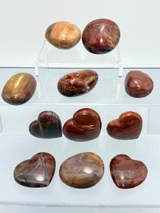 Collection of 11 Polished Petrified Wood Hearts &amp Palm Stones