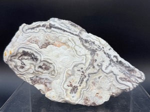 Laughter Stone Crazy Lace Agate  Large Unpolished Collector Specimen (Chihuahua, Mexico)