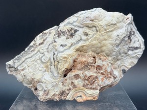 Laughter Stone Crazy Lace Agate  Large Unpolished Collector Specimen (Chihuahua, Mexico)