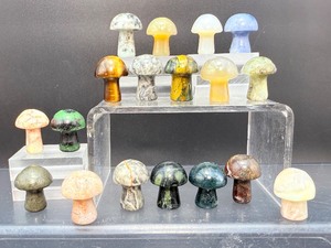 Premium Hand-Carved Gemstone Mini Mushroom Collection  18-Piece Master Set of Natural Polished Crystals &amp Minerals