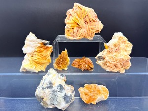 Exquisite Collectors Lot 7 Natural Bladed Barite Crystal Clusters - Vibrant Orange Desert Rose Formations