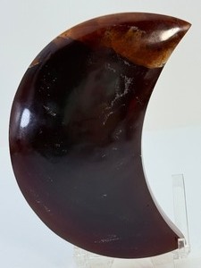 Rare 23MYO Indonesian Blue Amber Crescent Moon  Stunning Miocene Fossil - (10.3 oz  293 g)