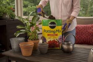 Miracle-Gro Potting Soil Mix (1 pallet)