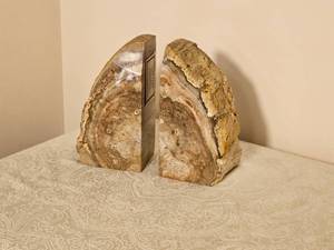 Petrified Wood Fossil Bookends