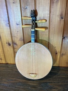 Decorative Round-Body Folk String Instrument