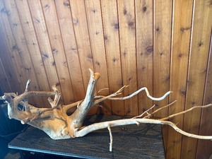 Large Sculptural Driftwood Root  Branch  Aquarium, Reptile Habitat or Rustic Dcor