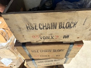 Unused 12 ton Chain Hoist AGT