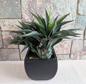 UL - Artificial Yucca Plant in Black Square Planter - 2.5 ft Tall