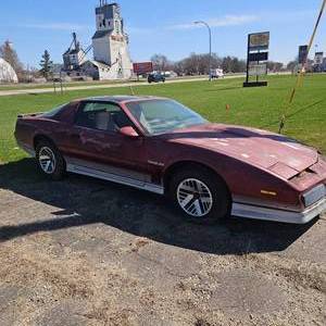1985 Pontiac Trans Am Firebird