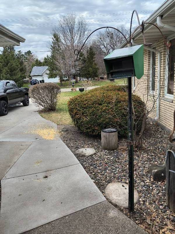 Bird Feeder