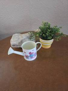 Home Decor- Howlite natural white stone, water can, and plant