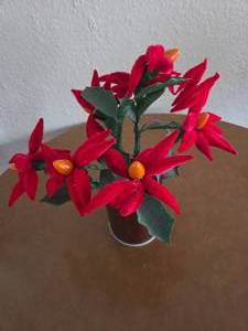 Homemade Poinsettia plant