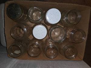 Box of 12 Jars