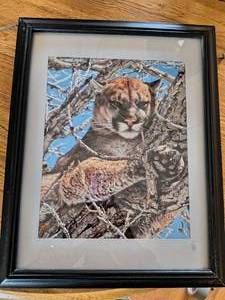 Puma print