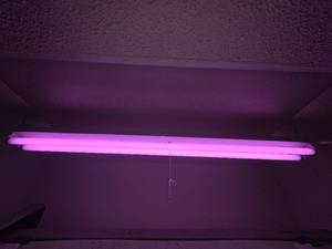 Hanging Light
