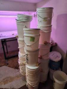 Buckets with Spigots
