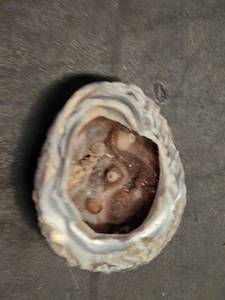 Geode Rock Specimen with Crystal Interior - 3.5 across