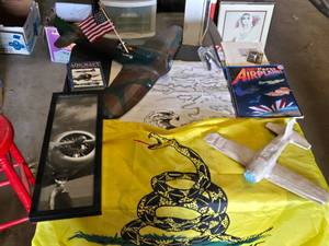 Model Airplanes, Books, and Dont Tread on me Flag