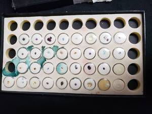 Loose gemstones collection in display case including various cuts and colors