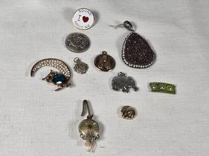 Assorted Jewelry and Pins including Brooches, Medallions, and Charms